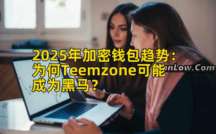 2025年加密钱包趋势：为何Teemzone可能成为黑马？插图