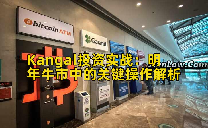 Kangal投资实战:明年牛市中的关键操作解析插图 Kangal投资实战:明年牛市中的关键操作解析插图
