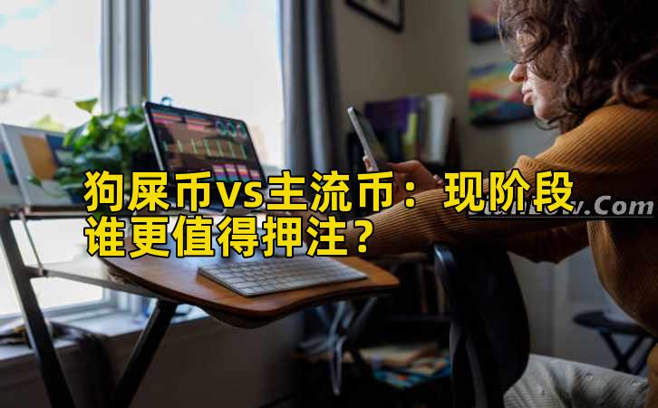 狗屎币vs主流币：现阶段谁更值得押注？插图
