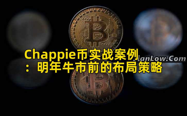 Chappie币实战案例：明年牛市前的布局策略插图