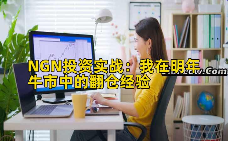NGN投资实战:我在明年牛市中的翻仓经验插图 NGN投资实战:我在明年牛市中的翻仓经验插图