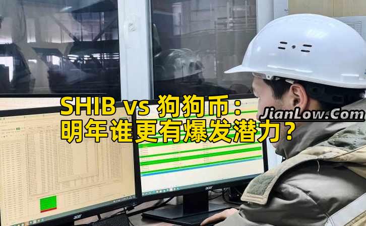 SHIB vs 狗狗币：明年谁更有爆发潜力？插图
