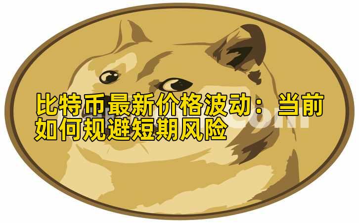 比特币最新价格波动：当前如何规避短期风险插图