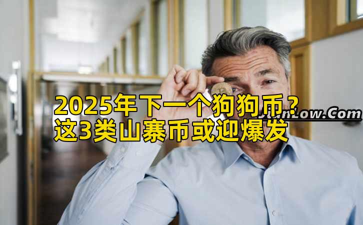 2025年下一个狗狗币？这3类山寨币或迎爆发插图