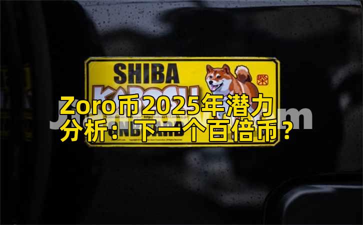 Zoro币2025年潜力分析：下一个百倍币？插图