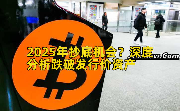 2025年抄底机会？深度分析跌破发行价资产插图