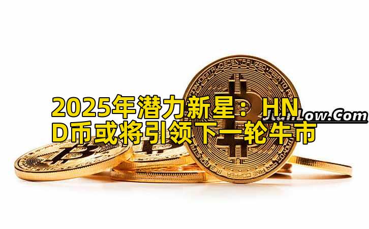 2025年潜力新星：HND币或将引领下一轮牛市插图
