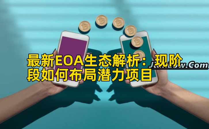 最新EOA生态解析:现阶段如何布局潜力项目插图 最新EOA生态解析:现阶段如何布局潜力项目插图
