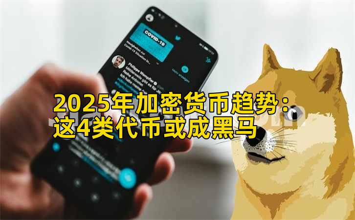 2025年加密货币趋势:这4类代币或成黑马插图 2025年加密货币趋势:这4类代币或成黑马插图