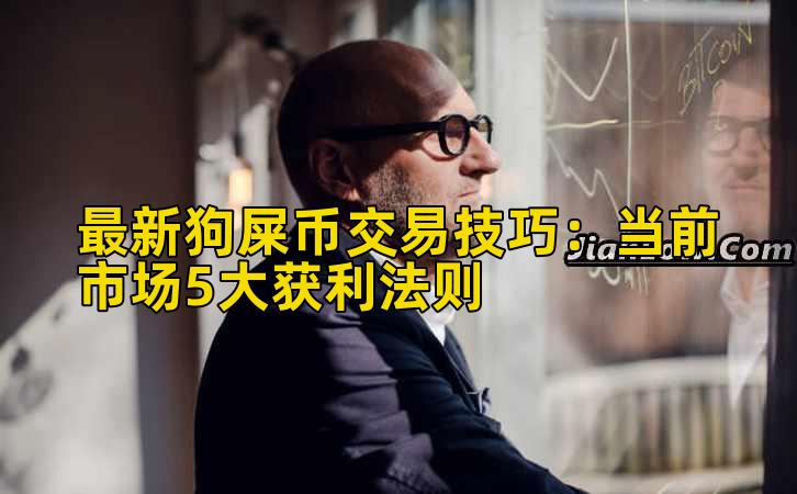 最新狗屎币交易技巧：当前市场5大获利法则插图