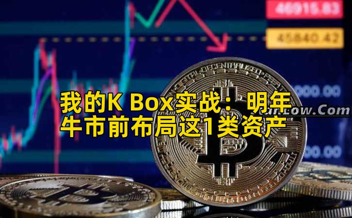 我的K Box实战：明年牛市前布局这1类资产插图