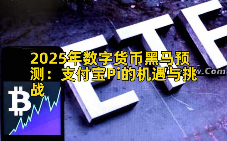 2025年数字货币黑马预测:支付宝Pi的机遇与挑战插图 2025年数字货币黑马预测:支付宝Pi的机遇与挑战插图