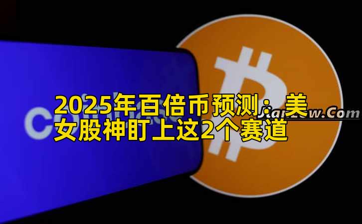 2025年百倍币预测:美女股神盯上这2个赛道插图 2025年百倍币预测:美女股神盯上这2个赛道插图
