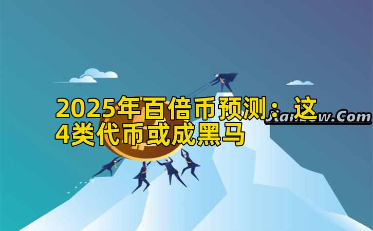 2025年百倍币预测：这4类代币或成黑马插图