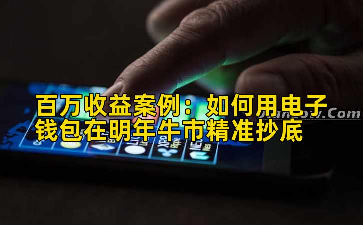 百万收益案例:如何用电子钱包在明年牛市精准抄底插图 百万收益案例:如何用电子钱包在明年牛市精准抄底插图