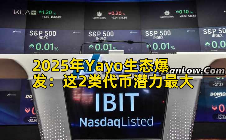 2025年Yayo生态爆发：这2类代币潜力最大插图