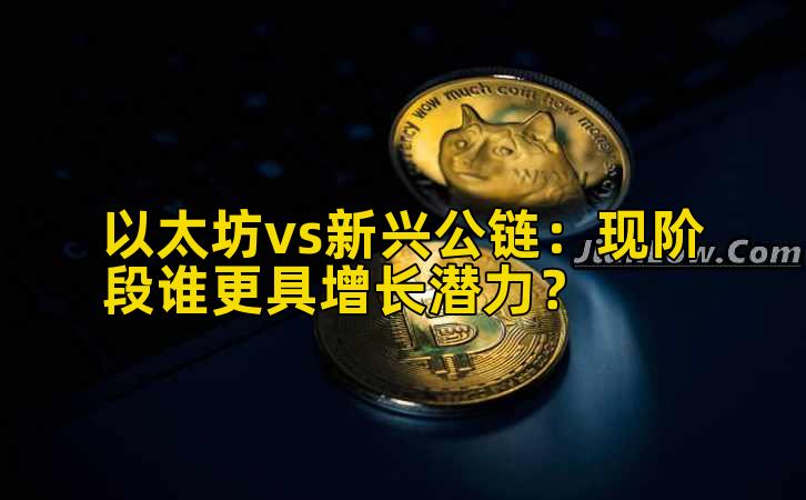 以太坊vs新兴公链：现阶段谁更具增长潜力？插图