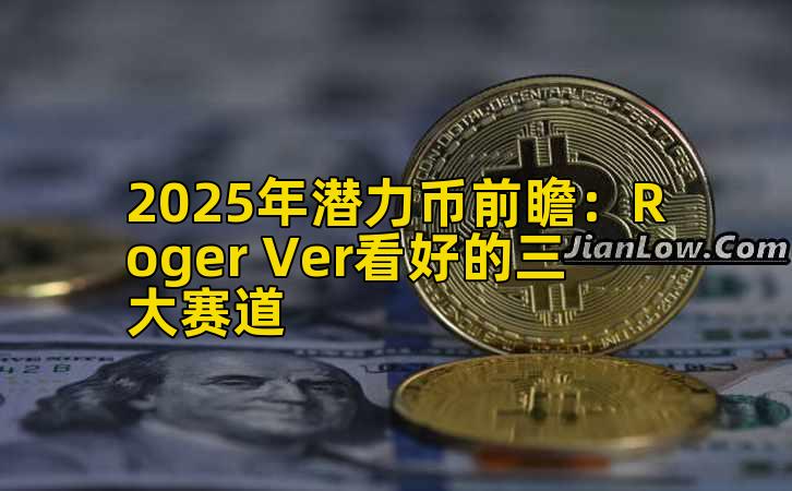 2025年潜力币前瞻：Roger Ver看好的三大赛道插图