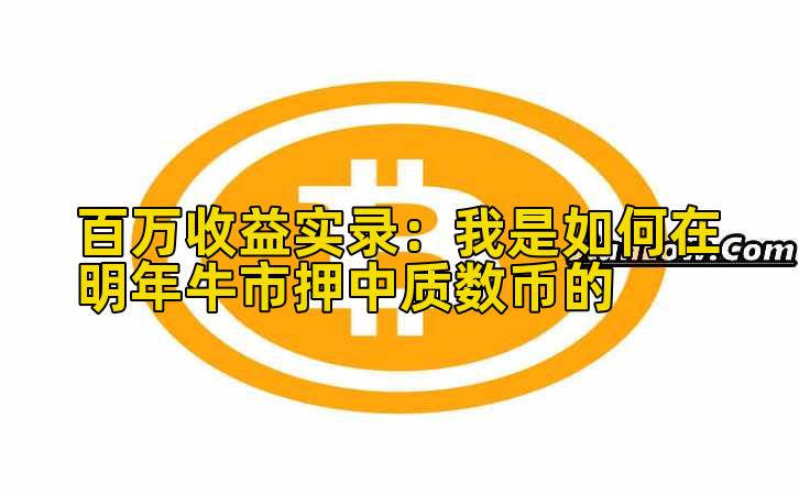 百万收益实录：我是如何在明年牛市押中质数币的插图