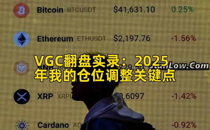 VGC翻盘实录:2025年我的仓位调整关键点插图 VGC翻盘实录:2025年我的仓位调整关键点插图