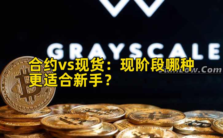 合约vs现货:现阶段哪种更适合新手?插图 合约vs现货:现阶段哪种更适合新手?插图