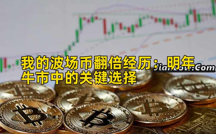 我的波场币翻倍经历：明年牛市中的关键选择插图