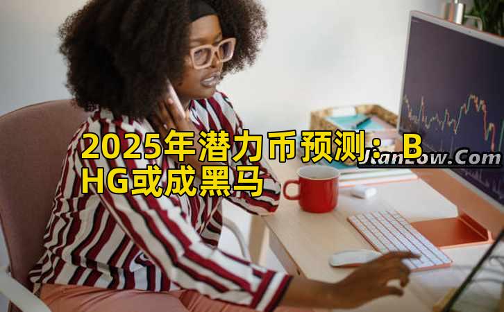 2025年潜力币预测:BHG或成黑马插图 2025年潜力币预测:BHG或成黑马插图