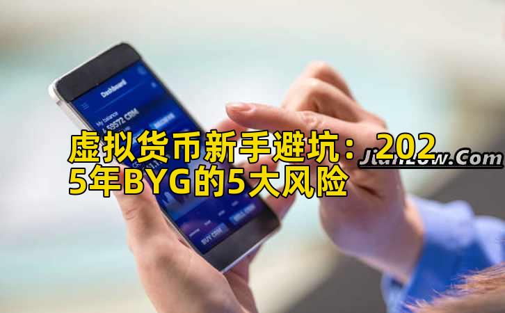 虚拟货币新手避坑：2025年BYG的5大风险插图