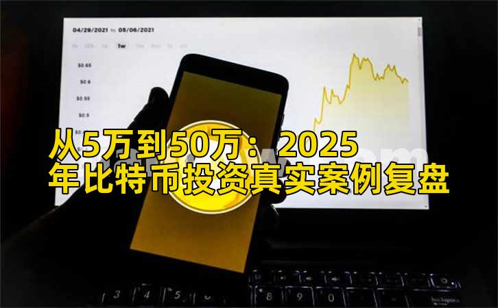 从5万到50万：2025年比特币投资真实案例复盘插图