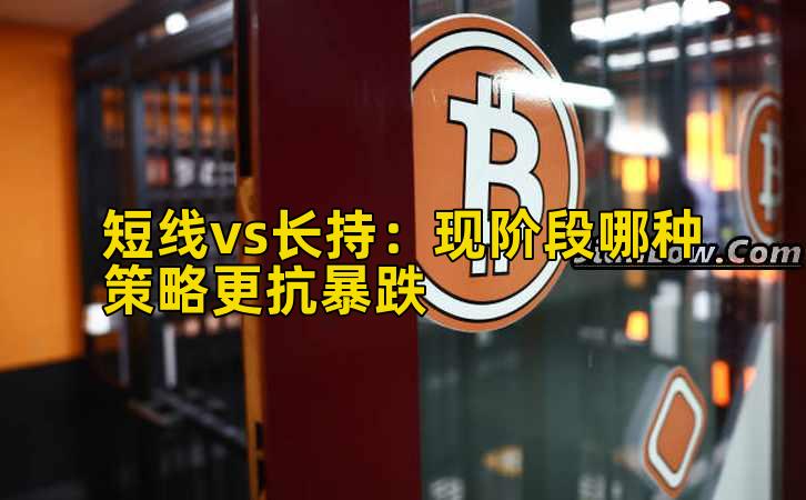 短线vs长持:现阶段哪种策略更抗暴跌插图 短线vs长持:现阶段哪种策略更抗暴跌插图