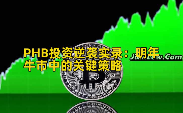 PHB投资逆袭实录:明年牛市中的关键策略插图 PHB投资逆袭实录:明年牛市中的关键策略插图