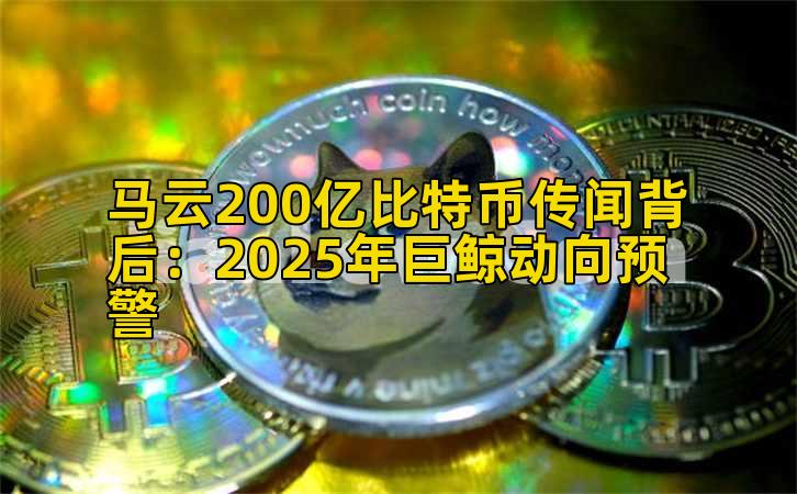 马云200亿比特币传闻背后：2025年巨鲸动向预警插图