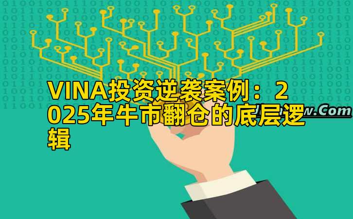 VINA投资逆袭案例：2025年牛市翻仓的底层逻辑插图