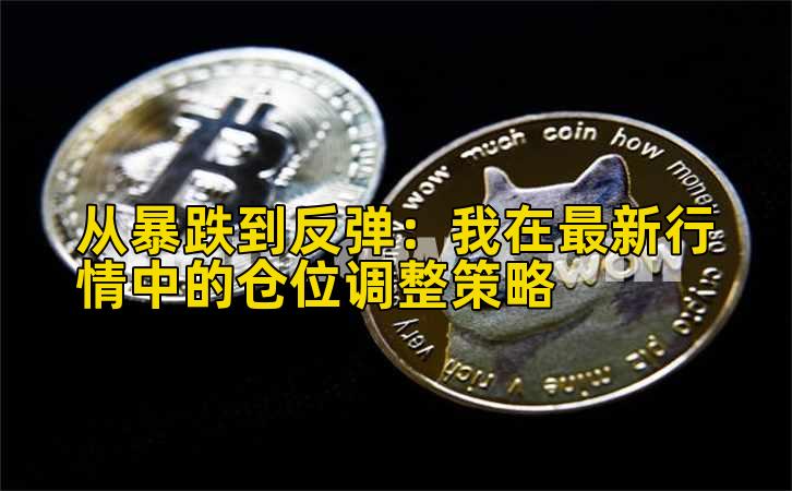 从暴跌到反弹:我在最新行情中的仓位调整策略插图 从暴跌到反弹:我在最新行情中的仓位调整策略插图