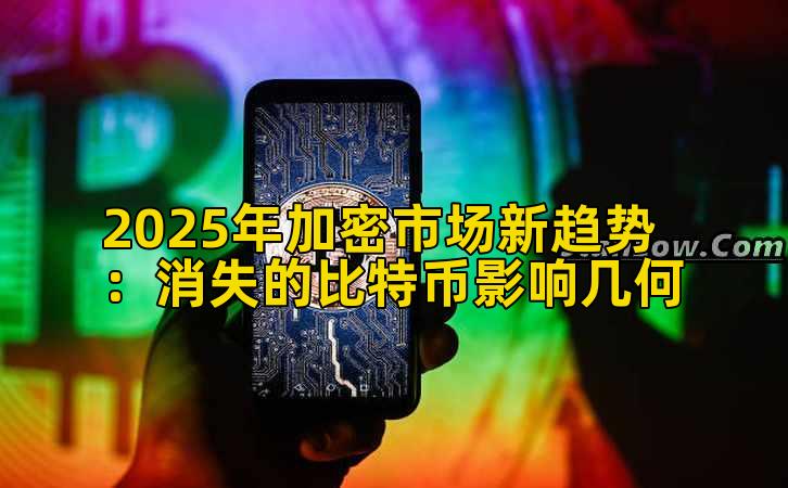 2025年加密市场新趋势:消失的比特币影响几何插图 2025年加密市场新趋势:消失的比特币影响几何插图