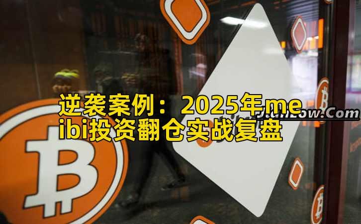 逆袭案例：2025年meibi投资翻仓实战复盘插图