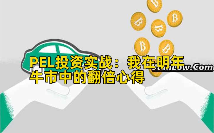 PEL投资实战：我在明年牛市中的翻倍心得插图