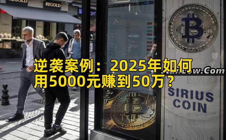逆袭案例：2025年如何用5000元赚到50万？插图