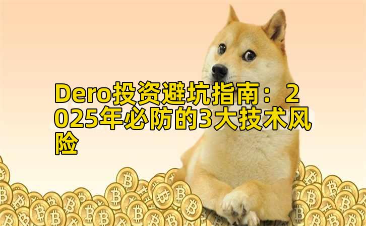 Dero投资避坑指南:2025年必防的3大技术风险插图 Dero投资避坑指南:2025年必防的3大技术风险插图