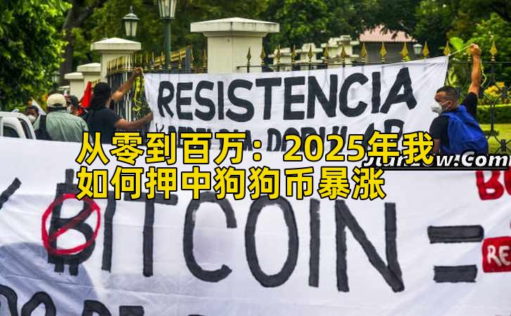 从零到百万:2025年我如何押中狗狗币暴涨插图 从零到百万:2025年我如何押中狗狗币暴涨插图