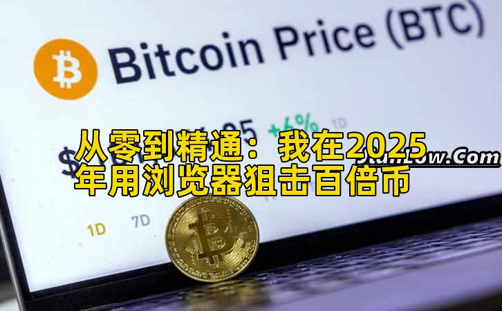从零到精通:我在2025年用浏览器狙击百倍币插图 从零到精通:我在2025年用浏览器狙击百倍币插图