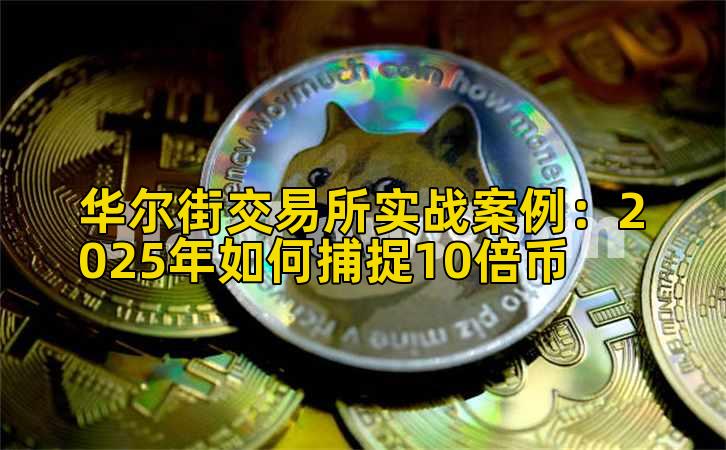 华尔街交易所实战案例:2025年如何捕捉10倍币插图 华尔街交易所实战案例:2025年如何捕捉10倍币插图