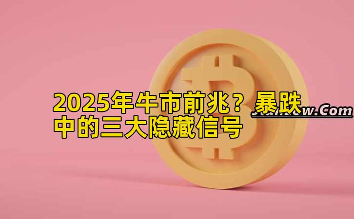 2025年牛市前兆？暴跌中的三大隐藏信号插图