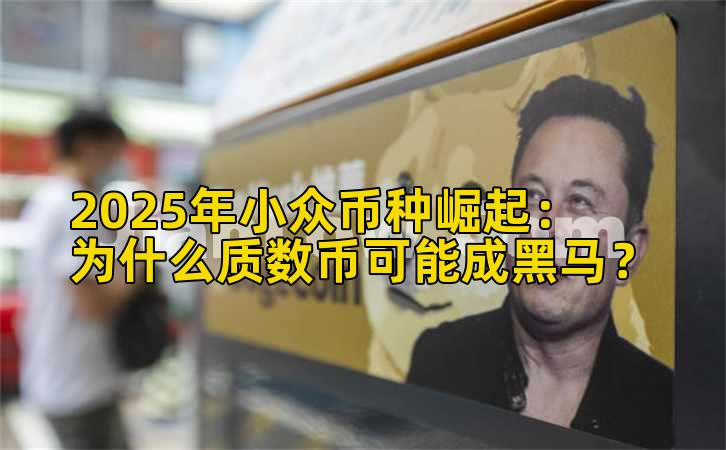 2025年小众币种崛起:为什么质数币可能成黑马?插图 2025年小众币种崛起:为什么质数币可能成黑马?插图
