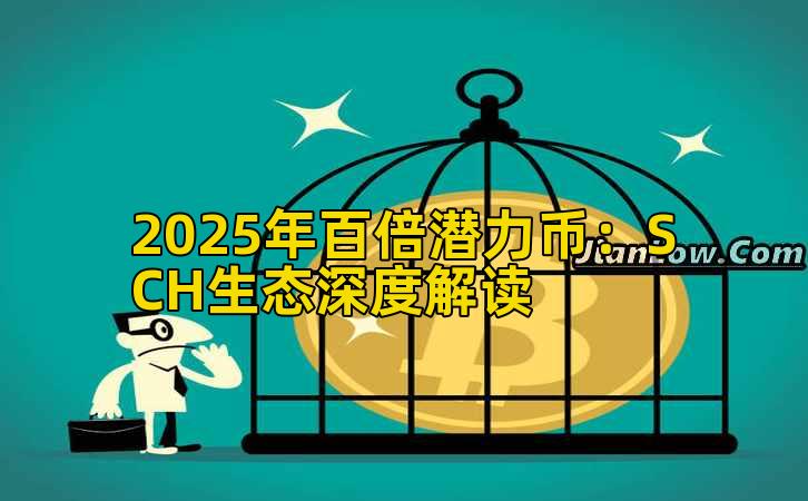 2025年百倍潜力币：SCH生态深度解读插图