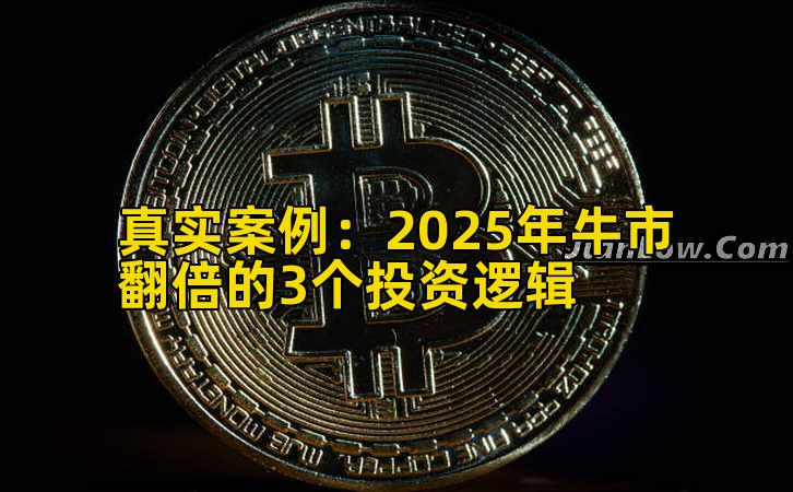 真实案例:2025年牛市翻倍的3个投资逻辑插图 真实案例:2025年牛市翻倍的3个投资逻辑插图