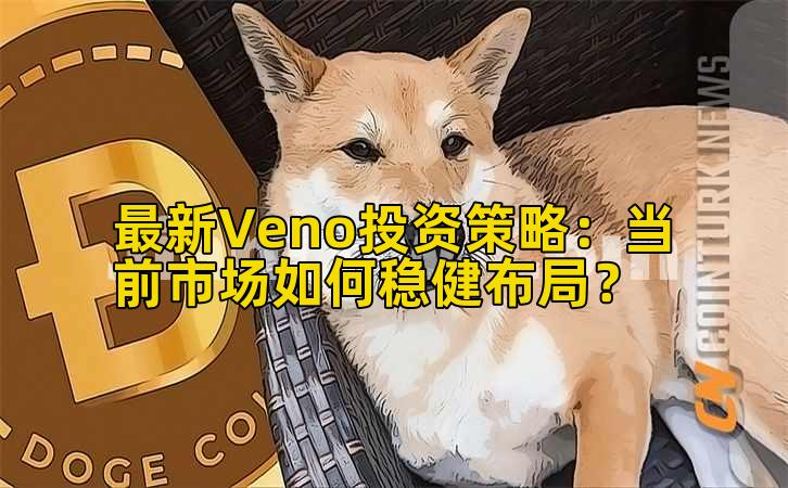 最新Veno投资策略：当前市场如何稳健布局？插图
