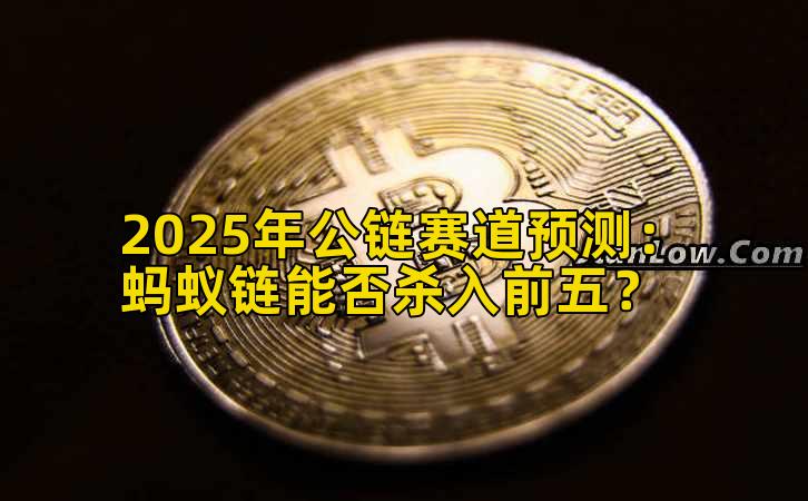 2025年公链赛道预测：蚂蚁链能否杀入前五？插图