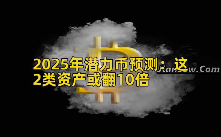 2025年潜力币预测:这2类资产或翻10倍插图 2025年潜力币预测:这2类资产或翻10倍插图