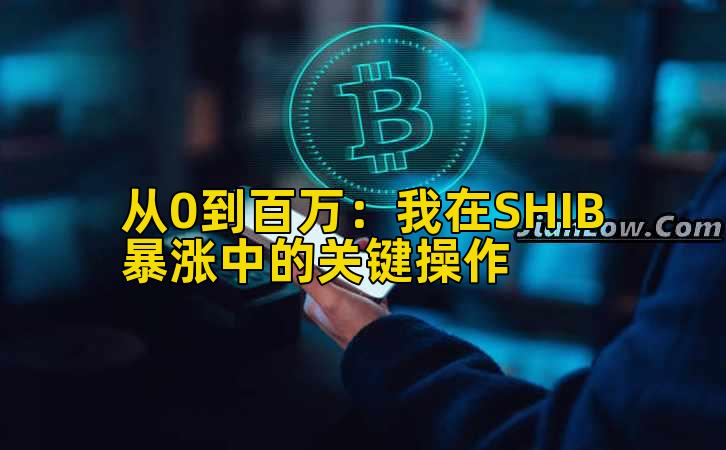 从0到百万:我在SHIB暴涨中的关键操作插图 从0到百万:我在SHIB暴涨中的关键操作插图